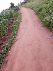 A picture of 1 very fertile acre on sale at 8 5m on