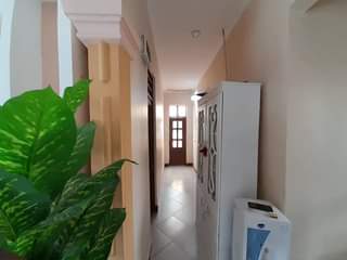 A picture of 0656394984 0789659702