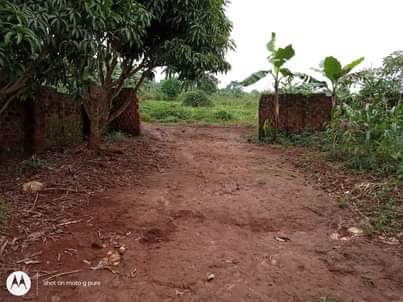 A picture of Kassanje