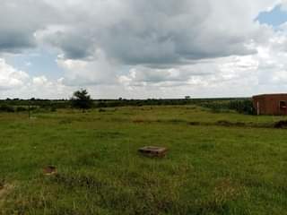 ntabazinduna stands