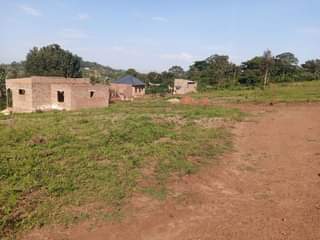 Sseka P.