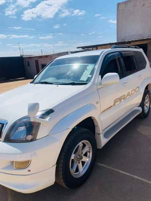 used toyota prado