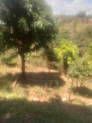 Githinji K.
