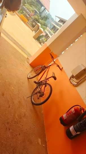 A picture of young adults Bicycle