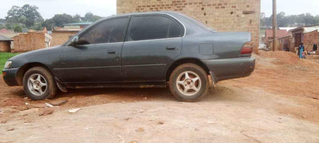 A picture of KIKUMI 4 3M CALL 0701488581 WHATSAPP 0776417404