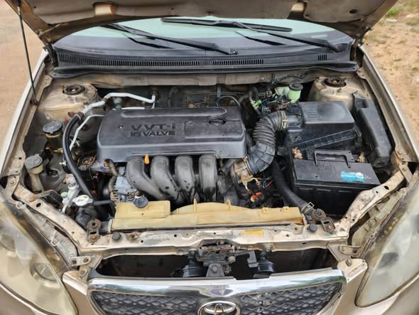 A picture of Corolla