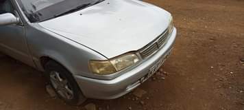 Wambugu M.
