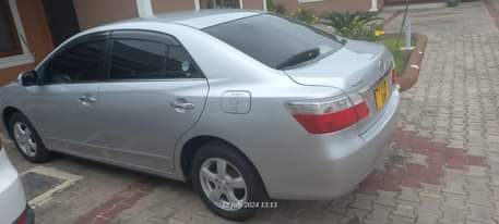 A picture of Premio f Full details Premio f Full details Year 2009