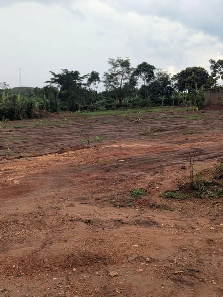 A picture of Plots