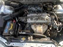 A picture of Honda Adidas