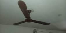 A picture of Ceiling Fan