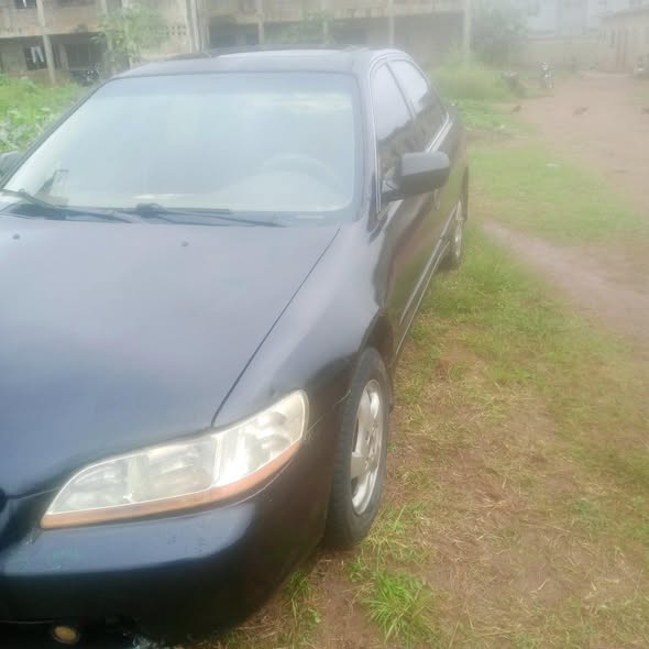A picture of 1999 Honda baby boy