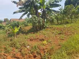 A picture of Land