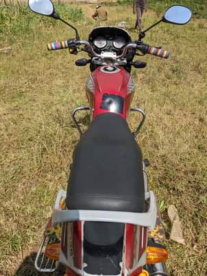 motorbikes