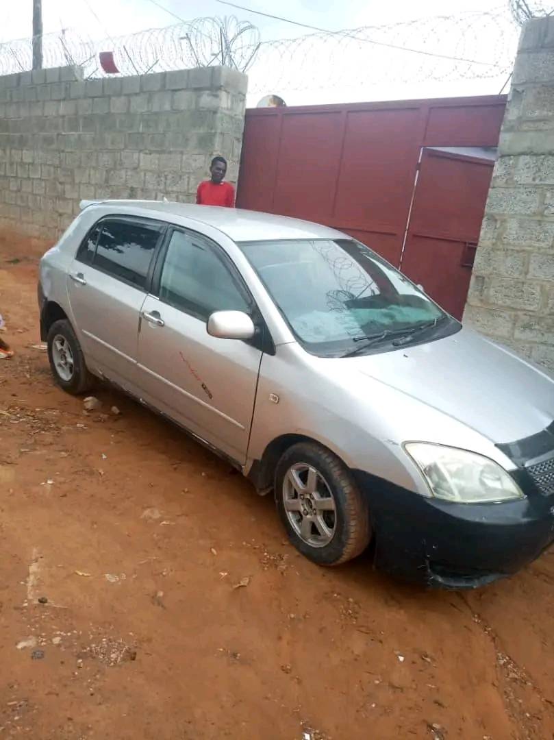 zed cars_under_50pin