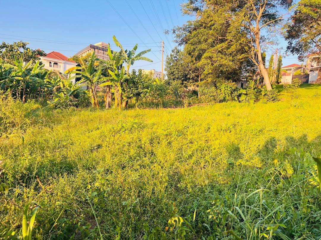 A picture of 50100ft plot for sale in Kira mulawa at 90m ugx