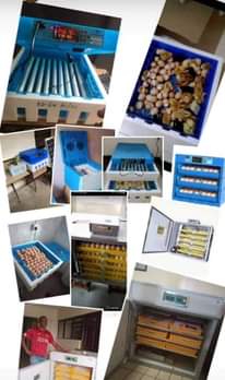 A picture of Poultry and Farm solutions