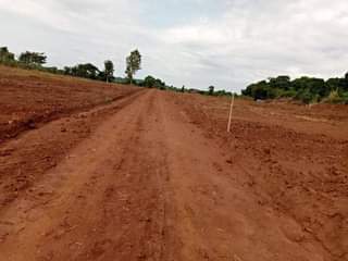 A picture of Commercial and Residential plots for sale located in Wakiso Gobero