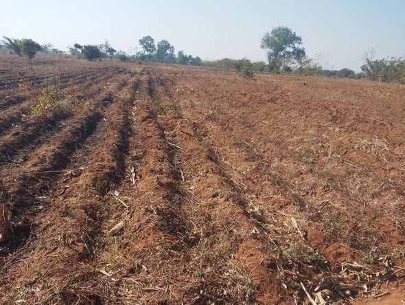 A picture of LAND FOR SALE SIZE 9 ACRES 0989849411