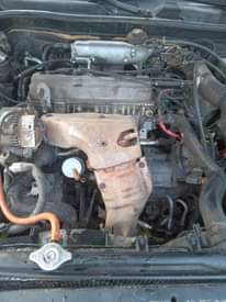 A picture of Camry timnylight