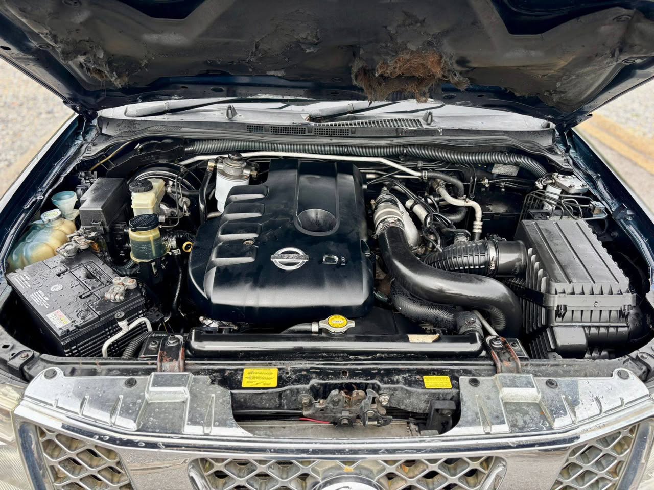 nissan navara