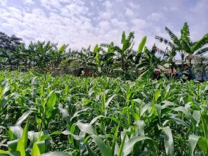 A picture of ANTI MR PROPERTY MANAGEMENT PLOT FOR SALE LOCATED AT KAPEEKA