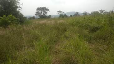 A picture of 10 acres of land in Mityana Namutamba at 10 millions