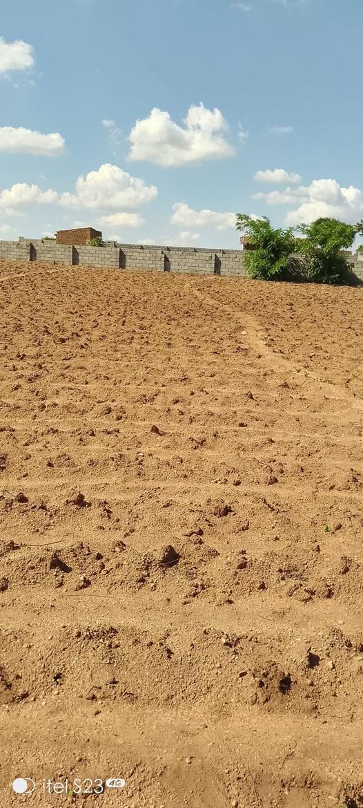 land