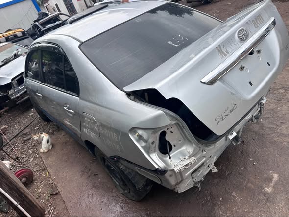 2019 cars