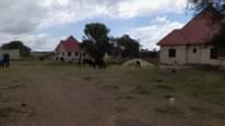 A picture of Kiwnja hicho hapo kimenyooka kinauzwa kisongo arushaa