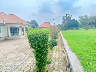 A picture of A country home for sale in buyaala after buloba just