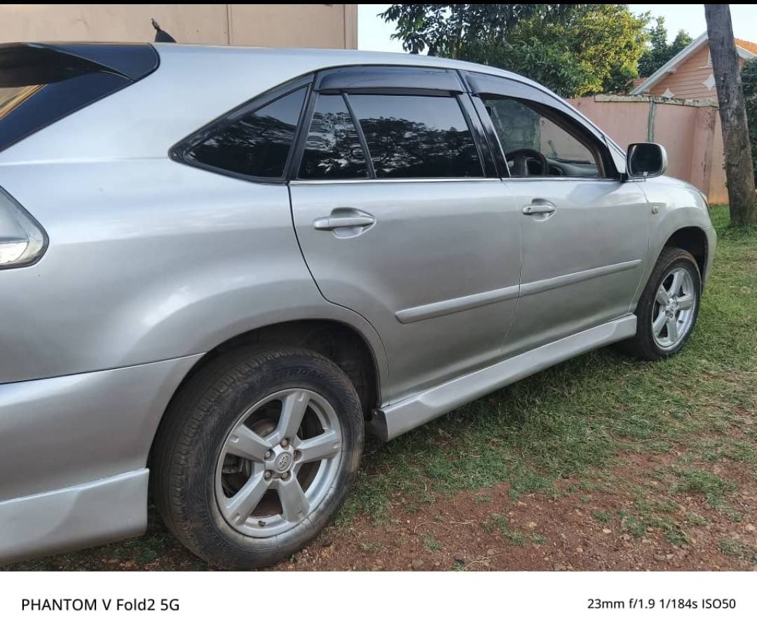 A picture of Harrier kawundo