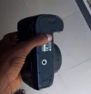 A picture of 6d