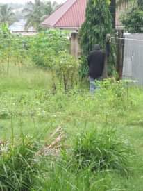 A picture of Kiwanja kiwanja