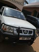 A picture of Nissan hard body for selling