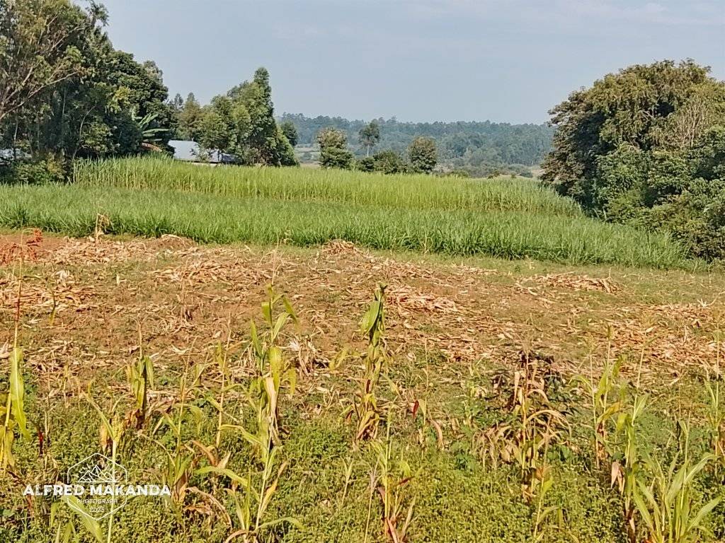 agricultural
