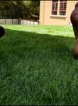A picture of All types of carpets 256705374901 256776763178
