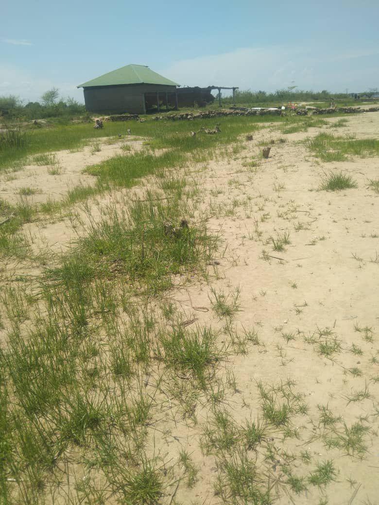 land