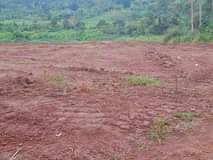 A picture of KATENDE PRIME ESTATE ALONG MASAKA ROAD JUST AFTER KYEGERA 50BY100