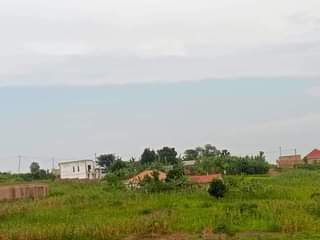 A picture of  we have a Plot for sale in Matugga Kavule