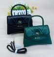 A picture of Handbag