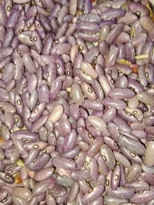 A picture of Maharage ya soya kijivu ndefu