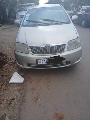 used toyota corolla