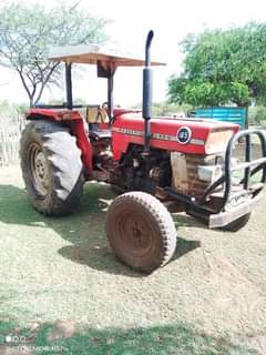 Sultan S.
