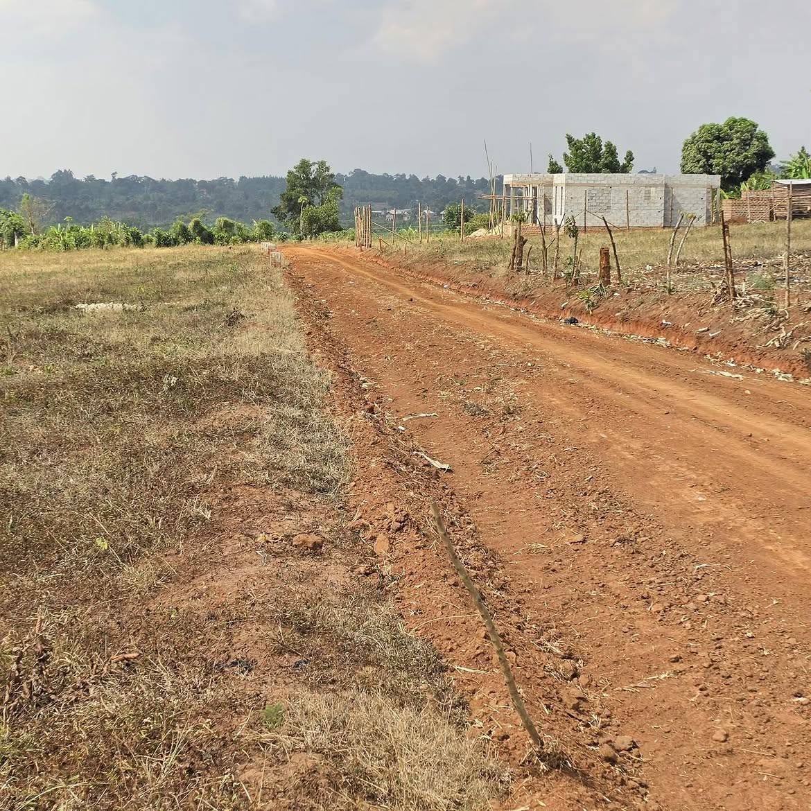 A picture of Wakiso Namusera plots 30m payable in instalments 0759502757 0780838026