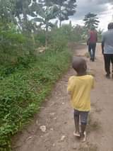 A picture of Land for sale at mukuno 50 100 12.5millions