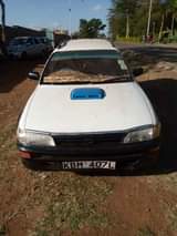 Gitau D.