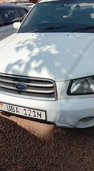 A picture of Subaru