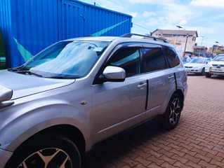 A picture of Forester 2008