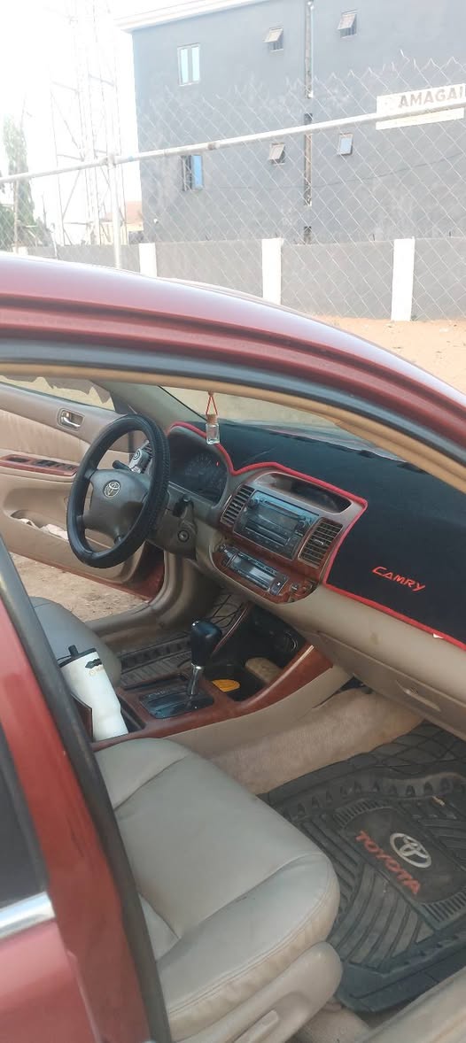 A picture of Camry Big daddy